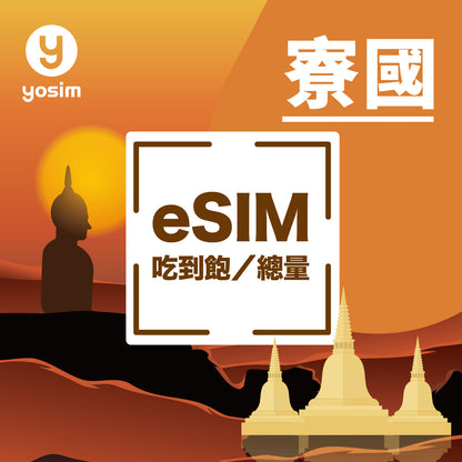 China's total eSIM