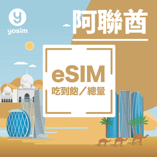 阿聯酋 eSIM 卡 - 杜拜上網吃到飽虛擬卡即買即發