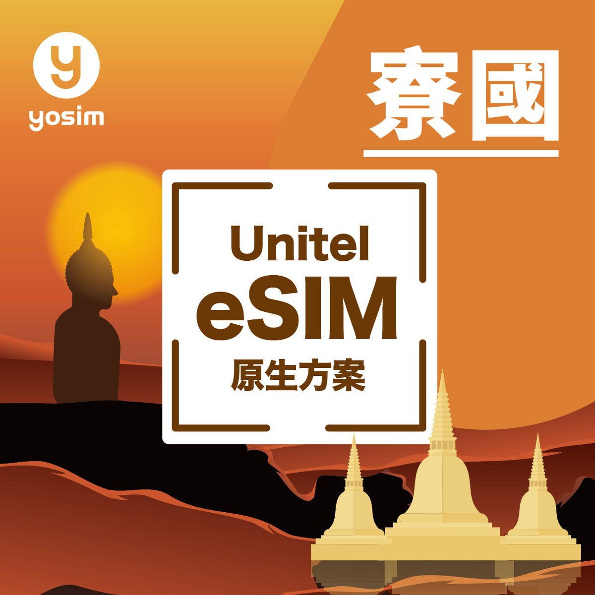 China's total eSIM
