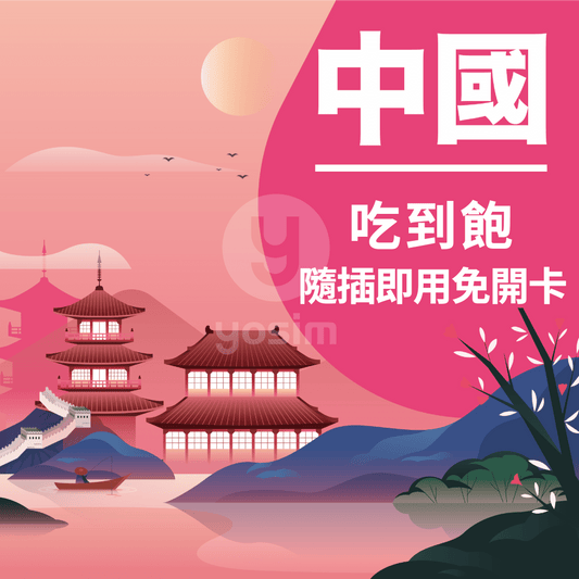 中國實體SIM卡 4G高速上網吃到飽 支援LINE Instagram Google，中國實體SIM卡 
